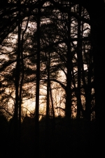 20140111-_dsc9814-edit-photo-j-3093377953-o 20140111-_dsc9814-edit-photo-j-3093377953-o