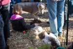 20140301-_DSC0574-photo-jerryal